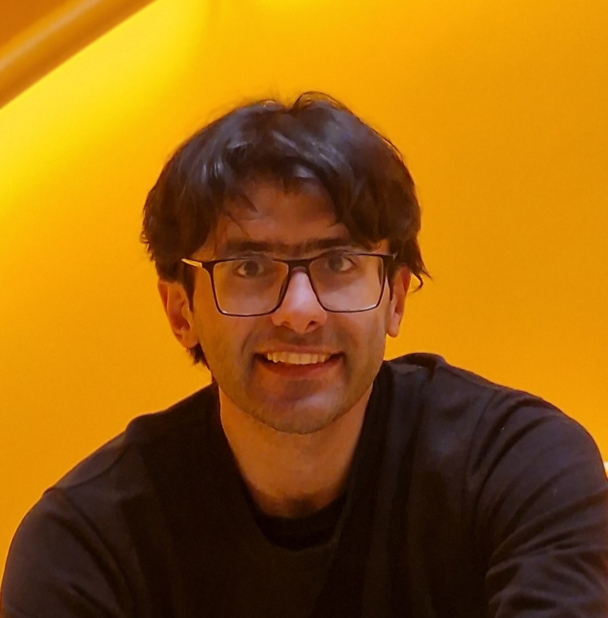 Milad Naeimaei Aali